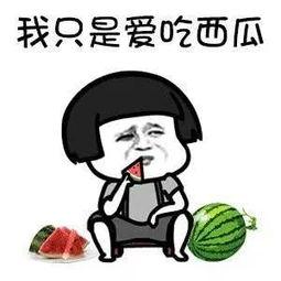 一线吃瓜娱乐圈讲什么